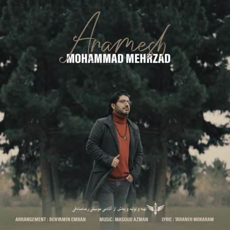 Mohammad Mehrzad – Aramesh
